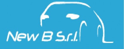 New B - Barlassina - Concessionaria Auto e veicoli - Erba